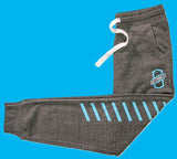 Joggers Grey/Cyan Stripes